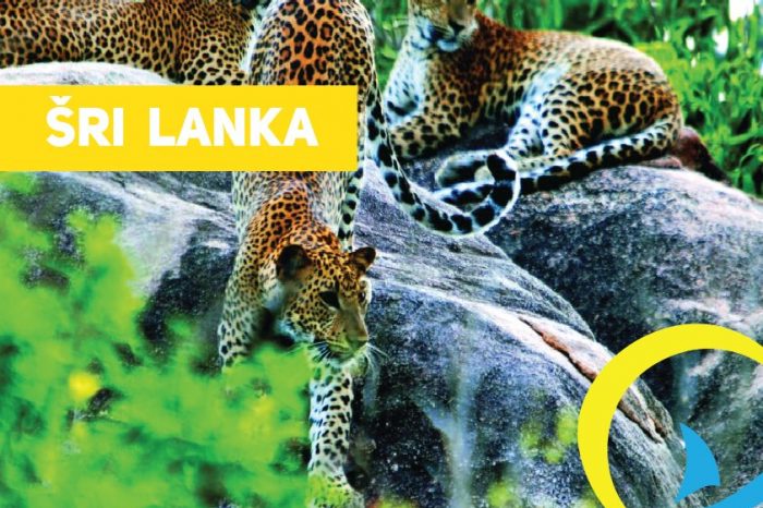 Egzotinė 11 dienų kelionė Šri Lankoje ir poilsis Maldyvuose tik 2530 Eur/asm.